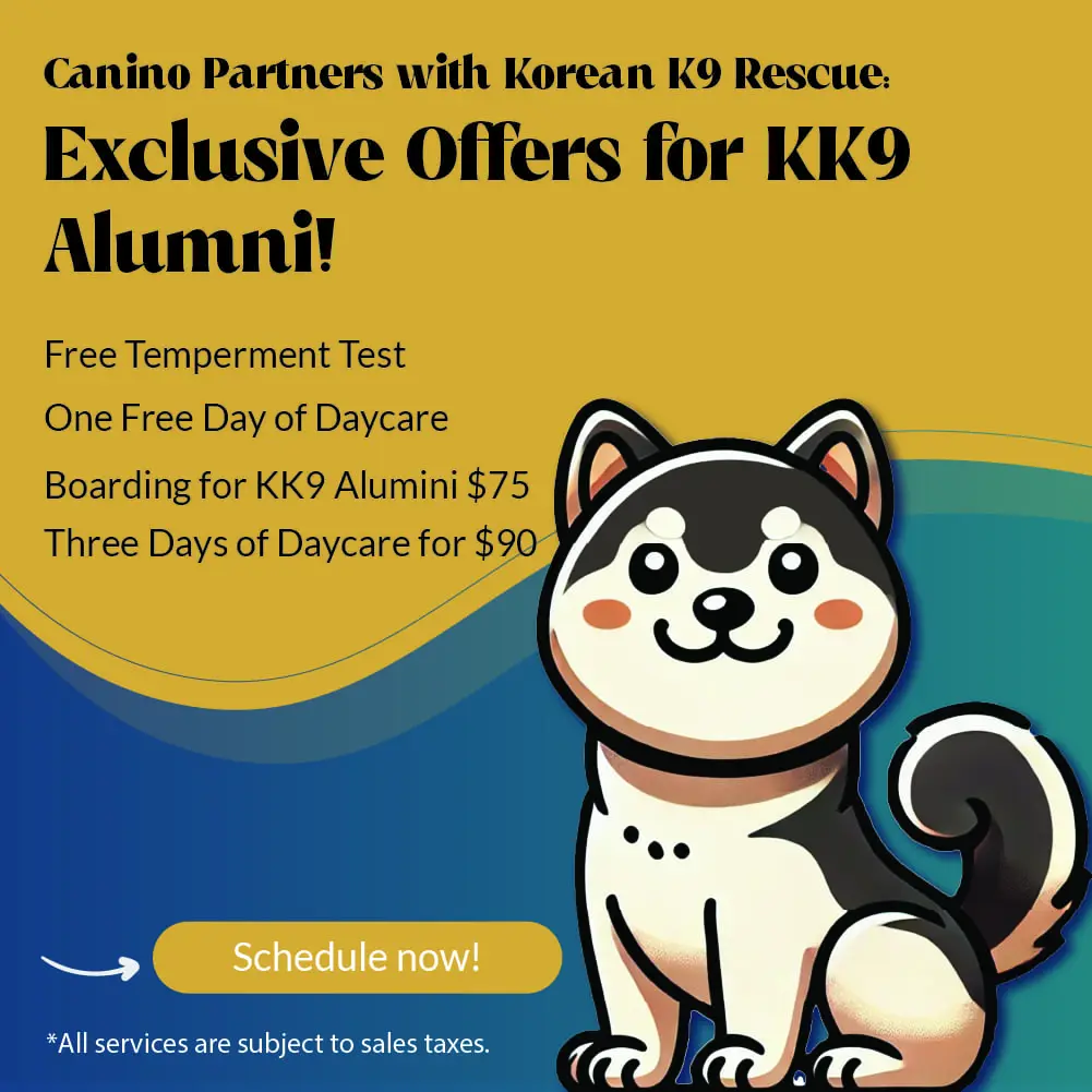 Korean K9 Partnership
