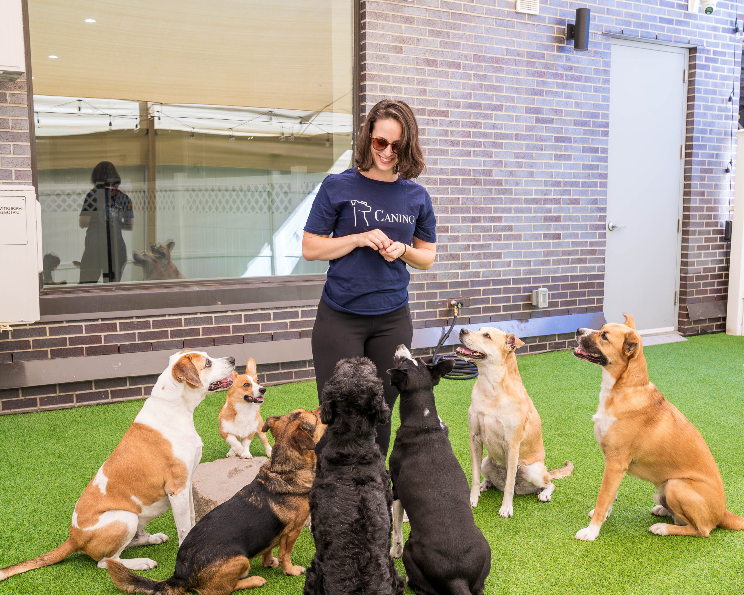 Canino team member providing a balanced meal as part of our dog wellness program