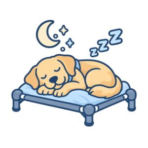 Illustrated dog sleeping on a cot under a crescent moon